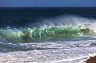 Wave at Pt. Reyes-6530